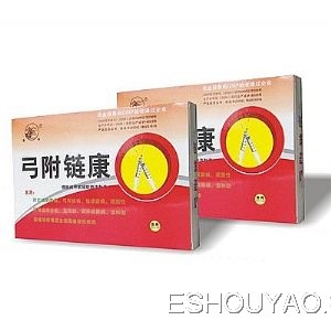 附弓鏈康