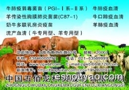 羊口瘡血清