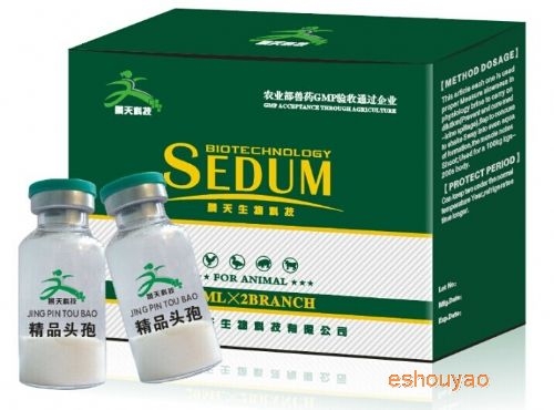 進口頭孢噻呋鈉凍.