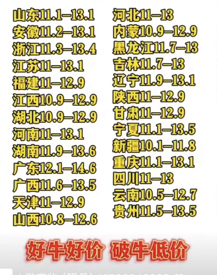 今日牛價活牛價格牛價.